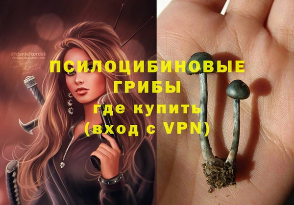 соль ск Алексин