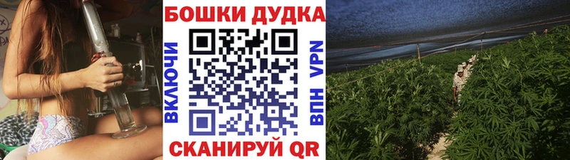 Бошки марихуана семена Александровское